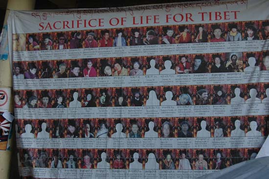 남갈 사원 입구에 걸려있는 티베트 열사들의 사진
