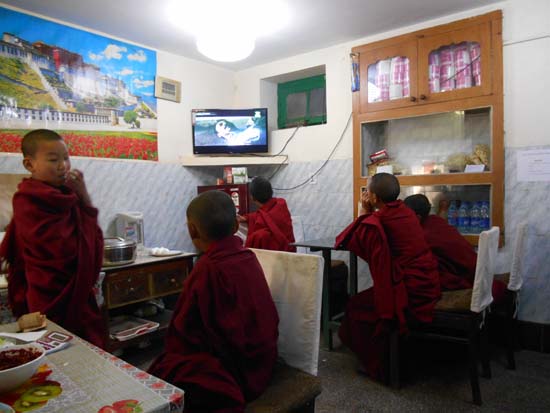 티베트 도서관 옆 식당에서 만난 어린 라마승들이 텔레비전에 푹 빠져 있다.