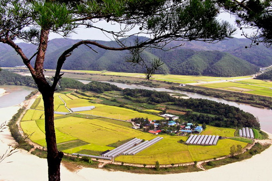 국민관광지로 알려지기 이전의 한적했던 시골마을 회룡포. 2005년 10월.