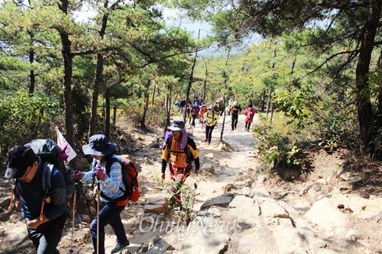 산을 오르고 있는 참가자들.
