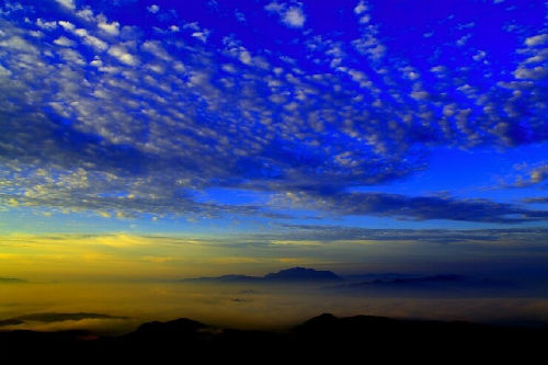 태조산 도리사 서대에서 바라본 새벽녘 구름바다 위에 뜬 금오산의 모습