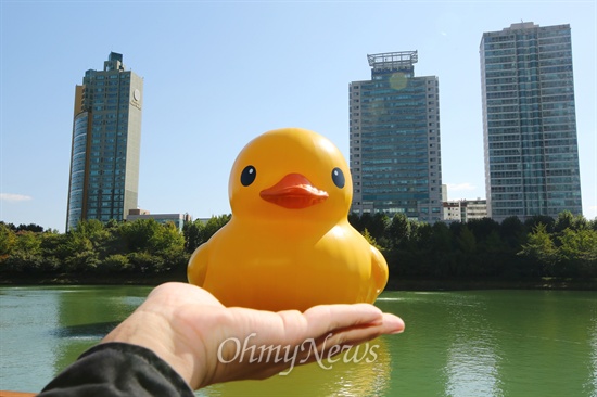 10월 14일 오후 서울 송파구 석촌호수에 떠 있는 네덜란드 예술가 플로렌타인의 작품 러버덕(Rubber Duck)'을 기자가 손 위에 있는 것 처럼 촬영했다. 