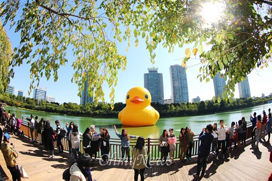 지난 10월 14일 오후 서울 송파구 석촌호수에 떠 있는 네덜란드 예술가 플로렌타인의 작품 러버덕(Rubber Duck)' 을 배경으로 많은 시민들이 사진을 찍고 있다. 