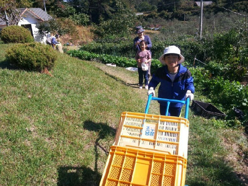 대추를 담을 상자를 나르는 아들 우리집안의 선산이 있는 예고개는 영주와 안동과 봉화의 세갈래 길이 위치한 곳에 있다.