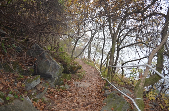 강변옆 숲길. 가을은 추운 겨울에 대비해 낙엽 깔기에 한창이다.