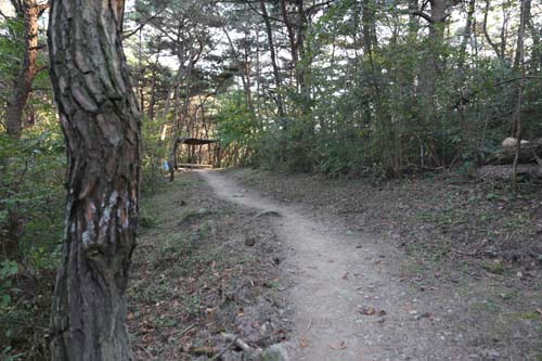 김동석 대표가 운영하는 병원에 달린 숲길. 환우들의 산책 코스로 이용되고 있다.