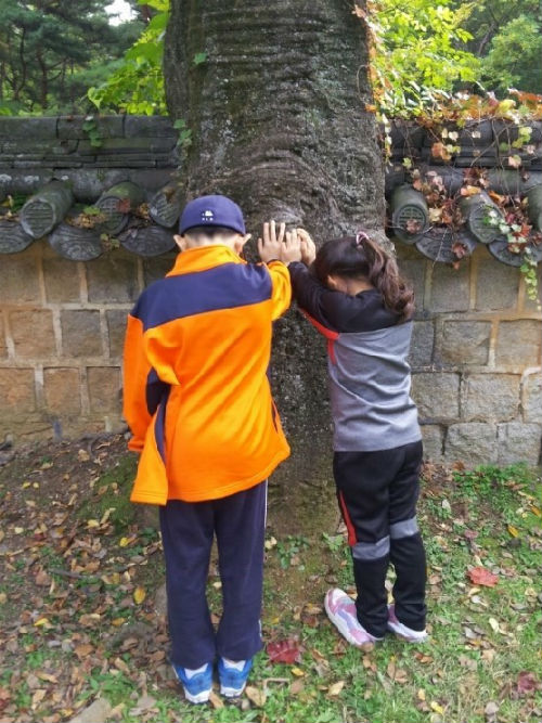 인간의 나이보다 훨씬 오래 산 나무라서 사람들은 노거수의 영험함을 믿는가 보다.