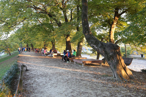 담양 관방제림의 가을날 오후. 관방제림을 찾은 여행객들이 숲길에 놓인 나무의자에 앉아 쉬고 있다.
