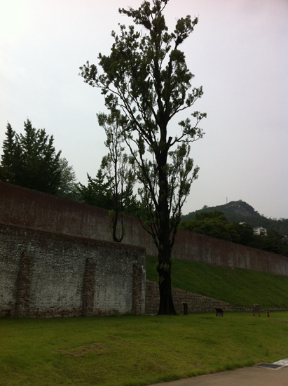 서대문 형무소 역사관에 있는 사형장과 입구의 미루나무