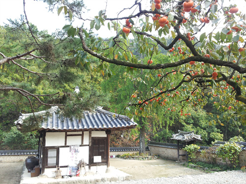 대구 옻골마을 동계정 대구 옻골마을