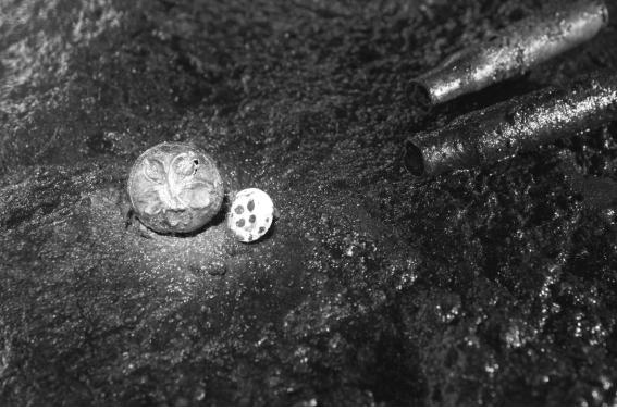 제주 4.3 동굴 유적지에서 발견한 단추와 탄피. 작은 단추 하나라도 세계체계의 안목에서 관찰할 때 진정한 의미를 찾을 수 있다.