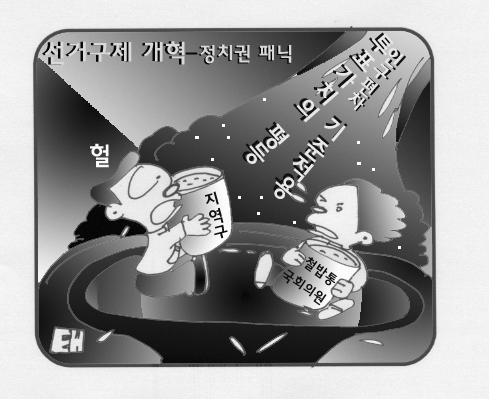 선거구제 빅뱅 우려