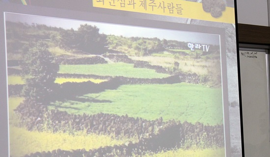<한라일보>는 누구도 눈여겨 보지 않은 제주 밭담을 탐사보도해 세계농업유산 등재로 이어지게 했다.