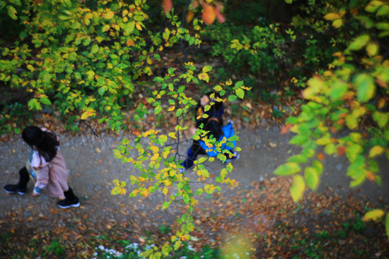 가을단풍나무 아래로 등산로를 따라 산행하는 이들의 걸음걸이가 활기차다.