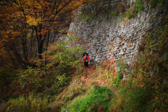 남한산성 남문의 성벽을 따라 산행을 하는 이들도 가을빛으로 물들었다.