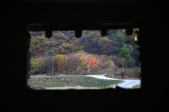 양평 황금리의 폐가의 창에서 바라본 가을 풍경