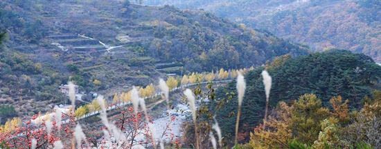 지리산 가는 길목인 경남 함양군 마천면 은행길에 4일 오후 노란 은행나무잎들이 바람에 떨어지면서 늦가을 정취를 더 하고 있다.