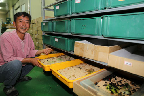 김용평 씨가 갈색거저리 애벌레와 성충이 자라고 있는 사육사의 환경을 보여주고 있다. 김 씨는 4년 전 회사에서 퇴직한 귀농인이다.