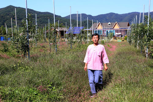 전남 담양에 있는 김용평 씨의 집. 집앞 밭에 사과나무가 가득 심어져 있다. 앞으로 수확하면 이웃과 나눠먹을 것들이다.