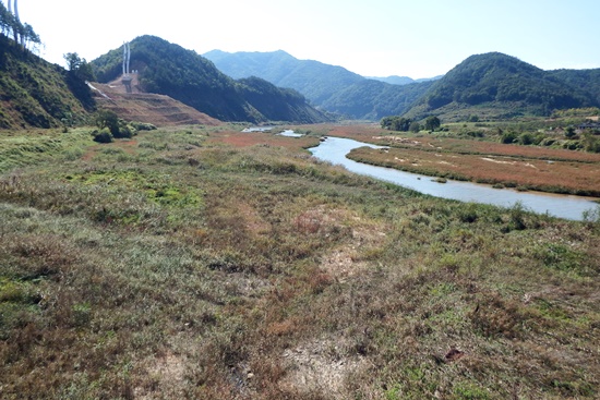 2014년 11월의 내성천. 위와 거의 같은 곳에서 찍은 모습. 왼쪽 산등이 일부는 잘려나갔고 영주댐 공사로 상류에서 더이상 모래가 공급 되지 않아 곳곳에서 풀이 자라는 육상화가 급격히 진행되고 있다. 내성천 일대가 대부분 이렇다. 