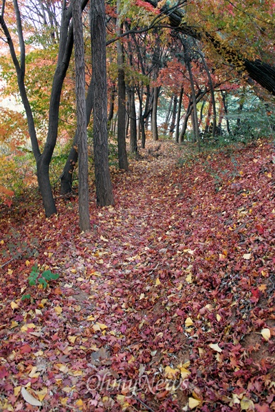  한북누리길