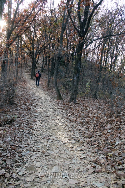 구름산은 걷기 좋은 숲길이 이어져 있다.
