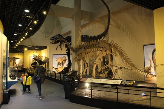 우리나라 최고의 공룡박물관답게 다양한 화석과 공룡뼈들이 전시되어 있다