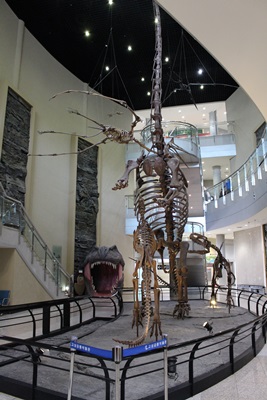 3층 높이의 공룡유골은 국내 최고 규모를 자랑한다