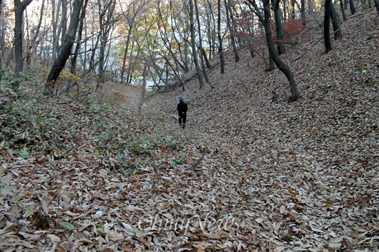 가을에는 낙엽을 밟아야 겨울을 맞이할 수 있다.