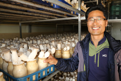 새송이버섯 재배사. 김황익 씨가 배지가 줄지어 선 버섯 재배사에서 활짝 웃어보이고 있다.