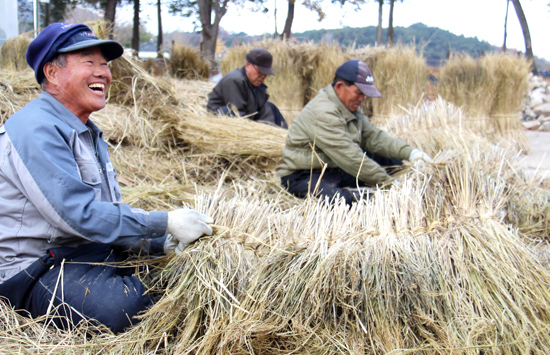 충남 예산군 덕산면 도중도 마당에서 광현당 초가지붕을 해일기에 앞서 이은현 도편수(사진 맨 왼쪽)를 비롯해 여러 어르신들이 이엉을 엮고 용고새를 틀고 있다.