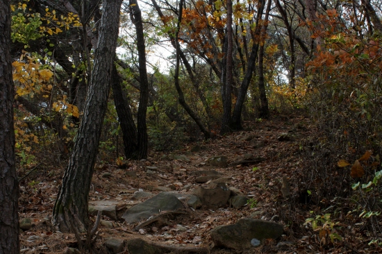 다시 산을 오르자 산세는 가팠랐다.
