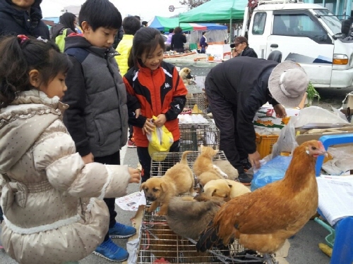 귀여운 동물들이 아이들의 감성을 자극해 부모들에게 자신들을 사갈 수 있도록 조르게 만든다.