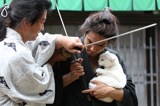  영화 <고양이 사무라이>의 한 장면. 주인공인 검객 '큐타로'는 고양이 '하나도조'를 지키기 위해서 목숨을 건다.