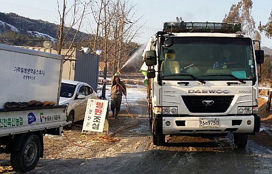 5일 오후 충북 진천군의 한 농가에서 구제역 의심 증상을 보인 돼지를 살처분을 위해 트럭으로 실어 나르고 있다. 