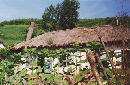 동북의 조선족 초가집들(1999년 제1차 답사 때 촬영. 장소, 청산리전적지 아랑촌에서.)