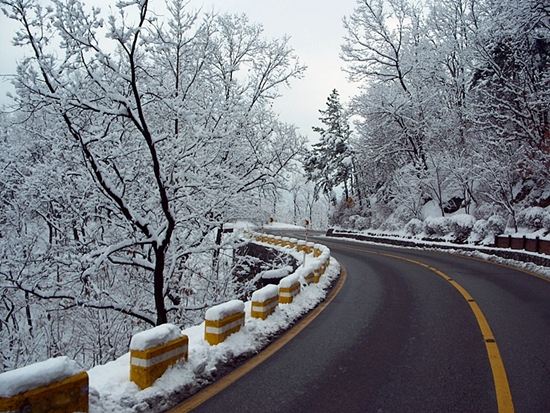 겨울철 언덕길을 자주 운행한다면 스노우 타이어가 안전하다. 