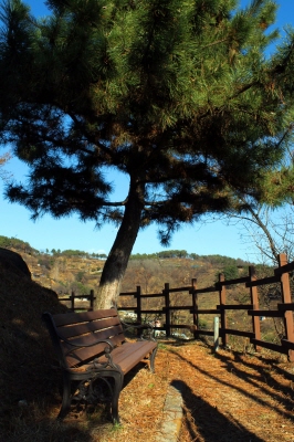  수정봉 정상 아래 소나무 밑 긴 의자에 할아버지 한 분이 누워 일광욕 중이었다. 할아버지는 일광욕하기 좋은 자신이 제일 좋아하는 곳이라고 입 가득 누런 이를 드러내며 일러주셨다. 