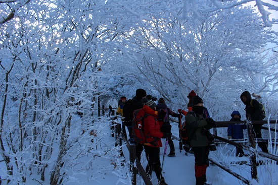 등산로 안에 있는 것만으로도 무아지경에 빠질만큼 아름다운 눈꽃들