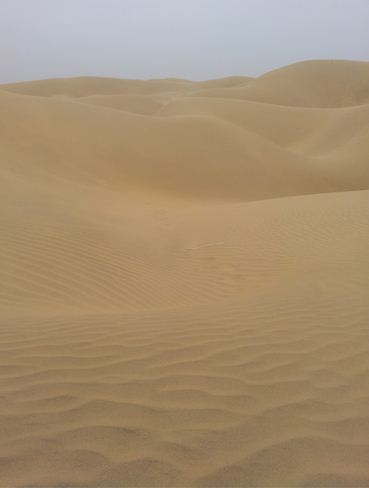 진짜 사막을 보았다. 사막은 이물질이 없다. 오직 모래 하나 뿐디ㅏ.