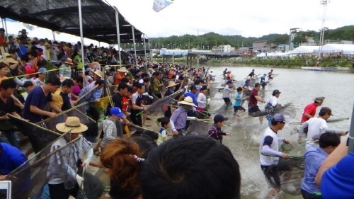 금년에는 80만명이 다녀갈 정도로 전국적으로 알려진 축제가 되었다. 기자는 매년 구미에서 당일치기로 은어축제에 다녀온다.