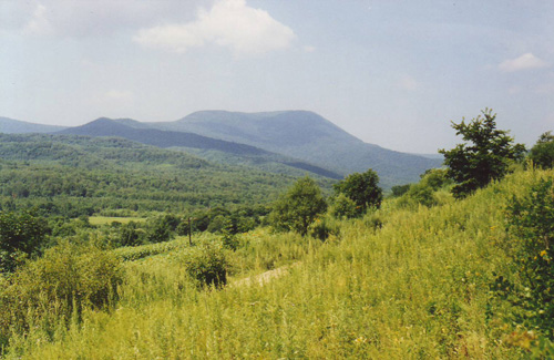 청산리 일대의 산과 계곡들(1999. 8.)