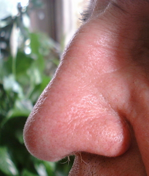 나이들면 귀, 코 길어지는 이유, 중력 때문이다. 