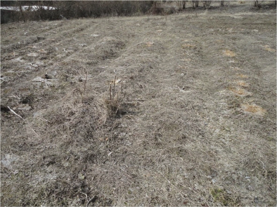 풀이 두껍게 덮여있으면 다음해 봄까지 햇볕에 흙이 노출되지 않는다.