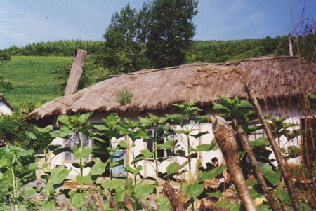 중국 동북지방의 동포 초가집(1999. 8. 제1차 답사 때 촬영)