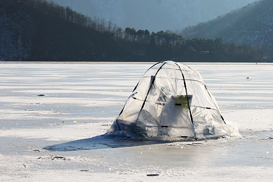 신포리 빙어낚시터, 독특한 모양의 비닐 텐트.