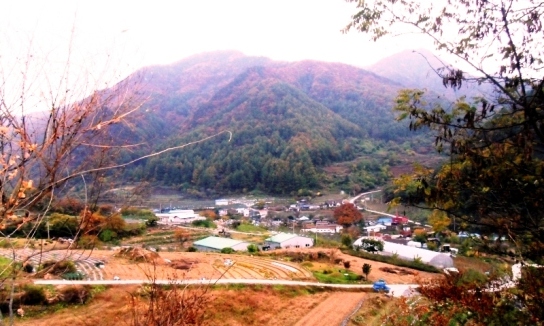 마을  서쪽 언덕에서 본 음지마을 전경이다.