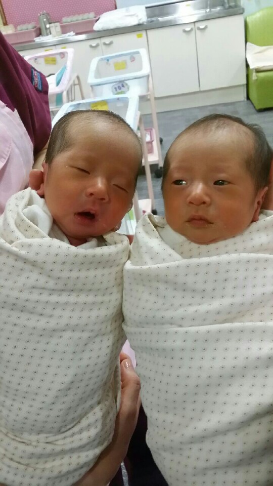태어난 것을 축하한다!!!  신생아실의 쌍둥이들.