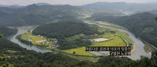  대전 구봉산에서 본 노루벌