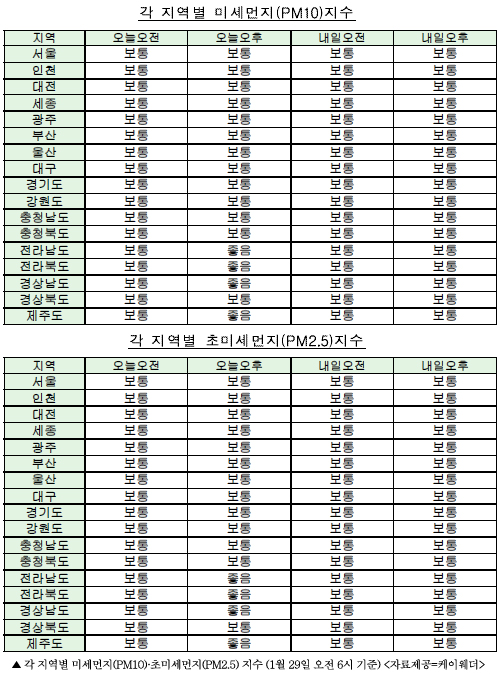 주요 지역별 미세먼지 농도